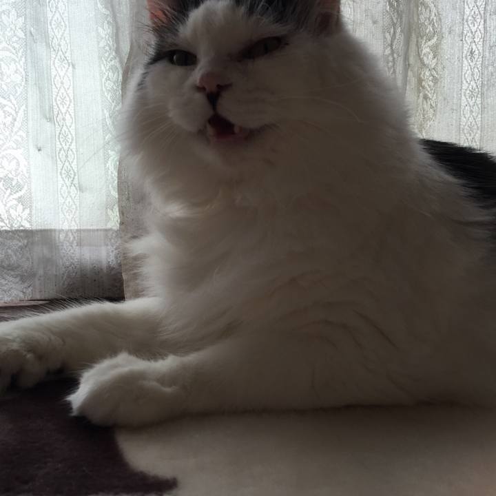 9cad2249 aa04 4d60 b98a 23fe729fae77