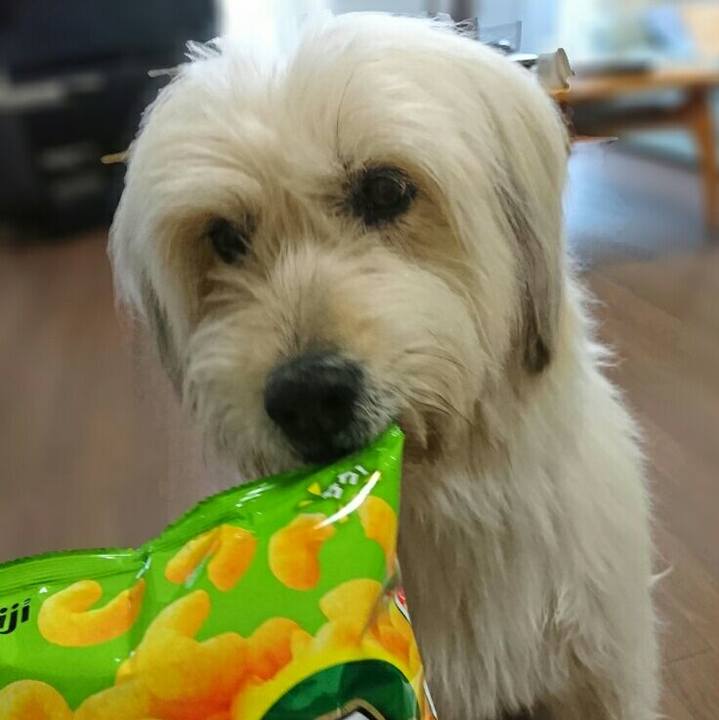 9cad3612 8621 47c9 9b59 01886f48c04a