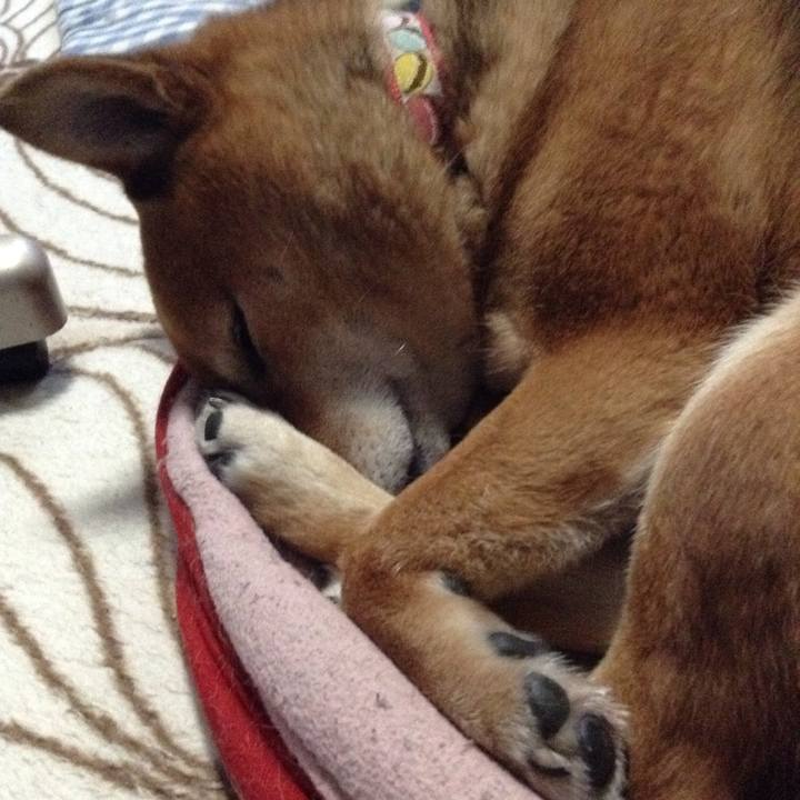 9cad6183 c6bf 4b3a 9951 bb1a57a69b8a