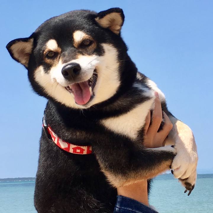 9cad9885 b991 456c b872 250cbd29e1b7