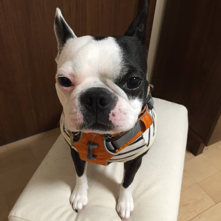 9caf9cb9 6091 47d7 a9cd ed5945056675