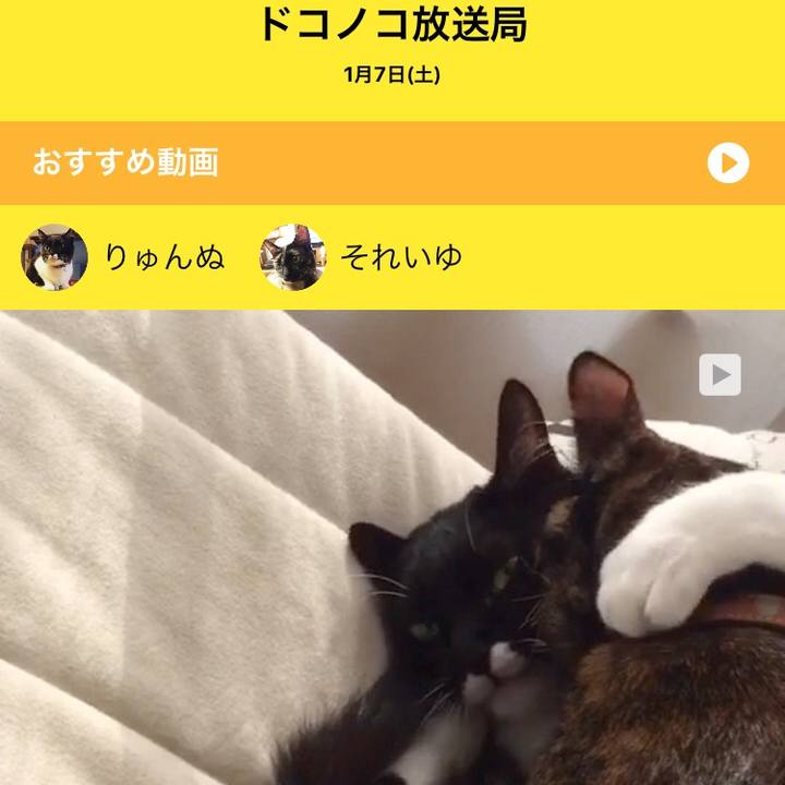 9cb0d582 0a8f 44dc 919d bf3ab56f0d81