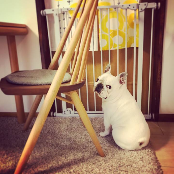 9cb1194b 47f5 4da0 8d33 b903d0773b0f