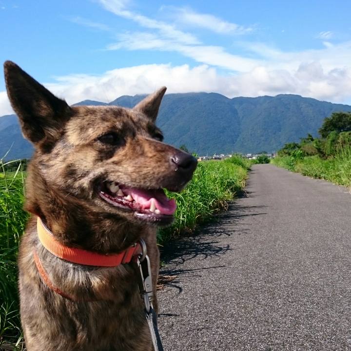 9cb1ea4a eef8 4c1c 941d 1d0233506e7c