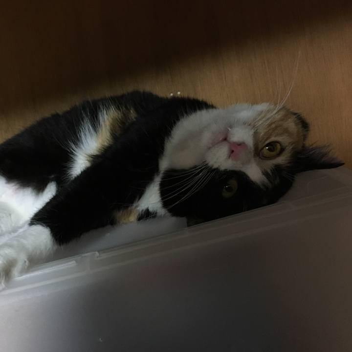 9cb231c4 2ca0 46b1 8937 cd2d1fa6f4ae