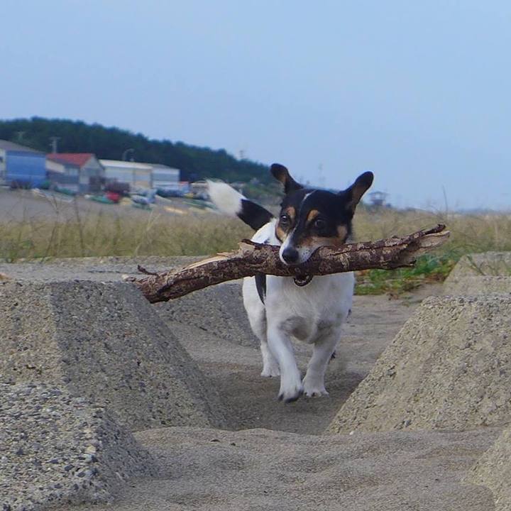 9cb248ac dcca 413f b819 8360bdbdcafa