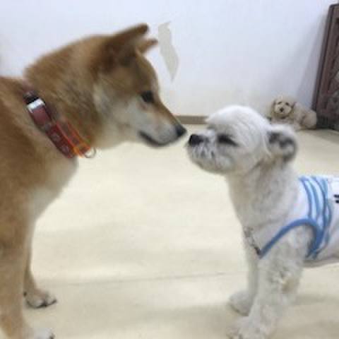 9cb26393 4351 4a4d bc7d 32f05afb843b