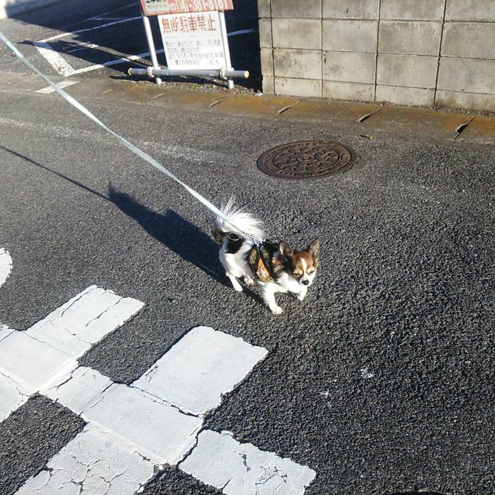 9cb29082 e116 434b 86a0 754f559de05e