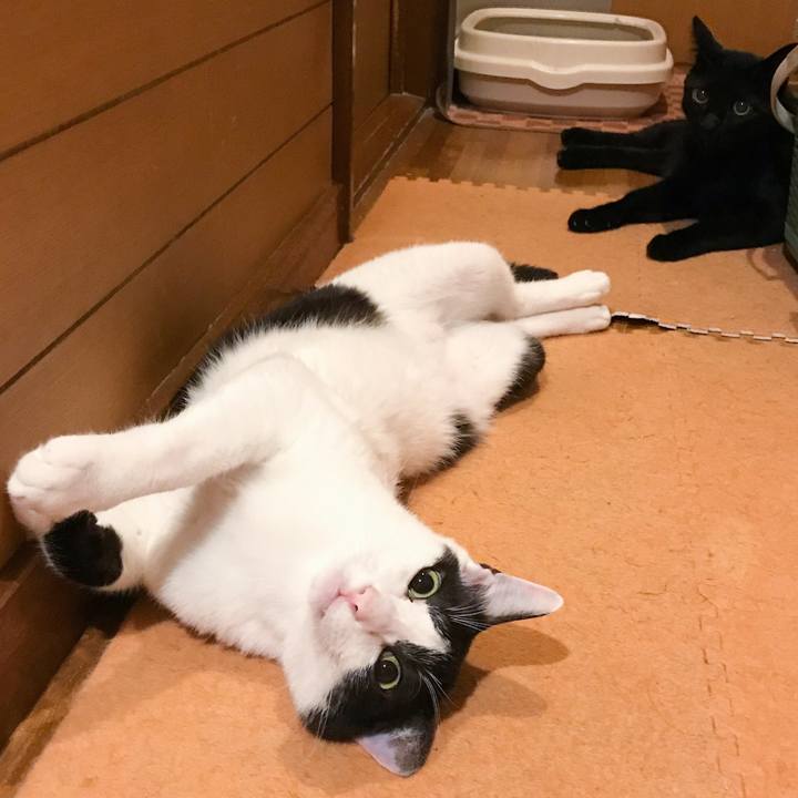 9cb2f842 4fb8 4116 a42a 850e2894d084