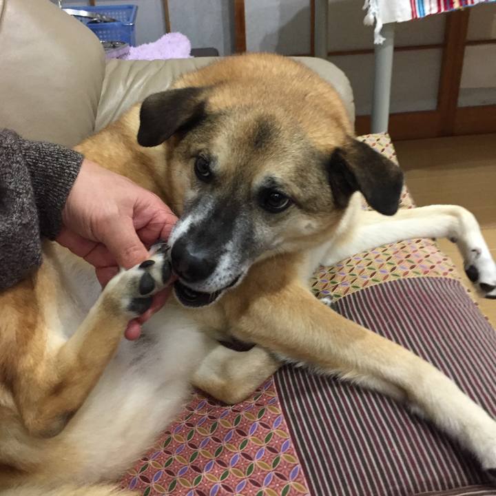 9cb364d1 2a2b 4643 b838 c87a2ec1ae67