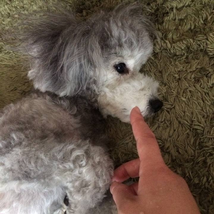 9cb3d161 3041 4628 89ec 3fa7fc127c75