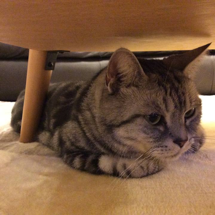 9cb3d5ba 89d0 40fa bdf2 8c1ded6bb833