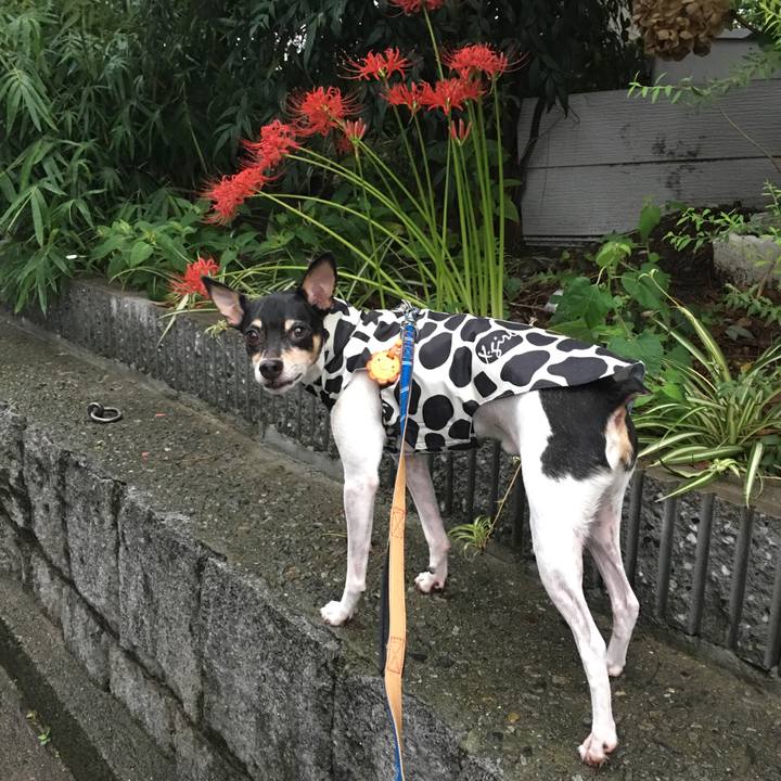 9cb43c9b 55e1 4c93 82ce c2809e50543b