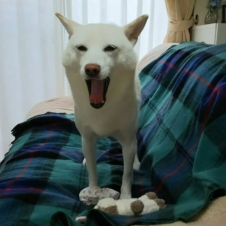 9cb47fa0 190f 4a9c 9766 e28e1ef0b0b6