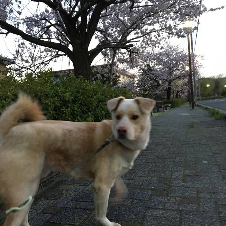 9cb4ada5 48a1 4d7e b958 7184cbcbdb38