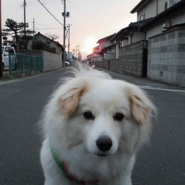 9cb54a66 dec2 4a6d ac44 531e40c137b1