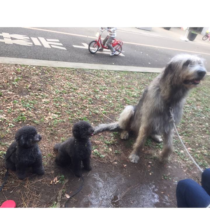 9cb5a35b 4acd 4d7f ba82 3f8306315bcd