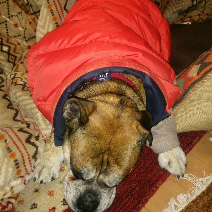 9cb6c973 becb 41e2 b2c9 e06878162546