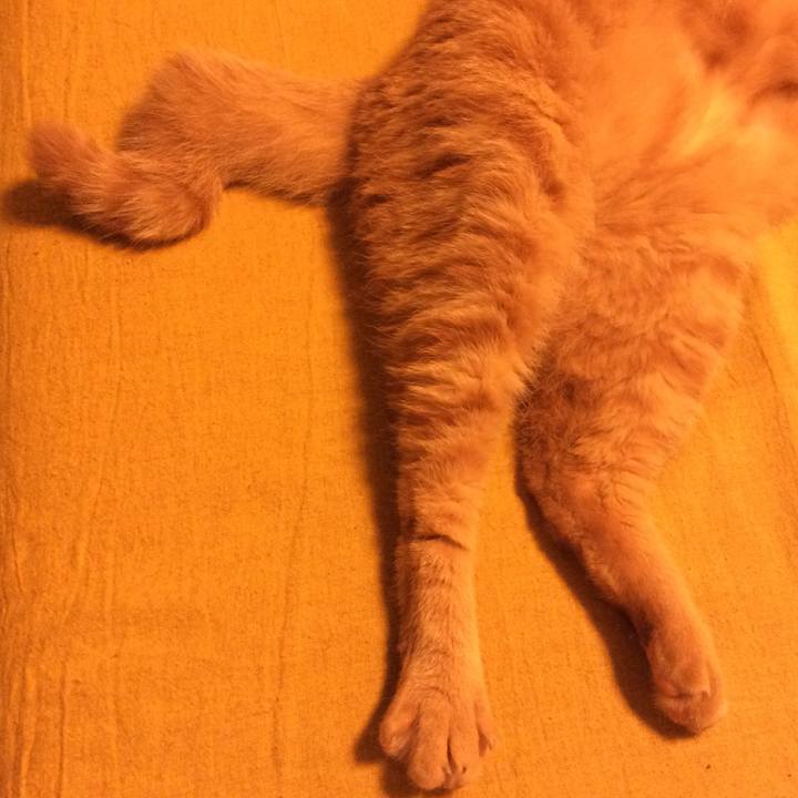 9cb7047a 46ef 4840 b8ee a07ec10f3cac