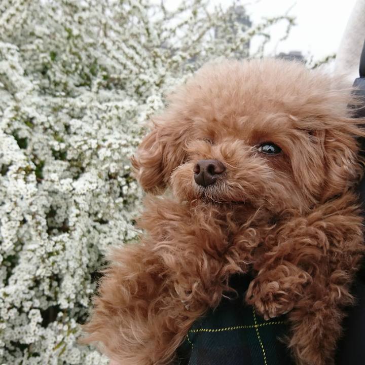 9cb7221d 5ad5 4f64 8f9c 2cb12c8c2931