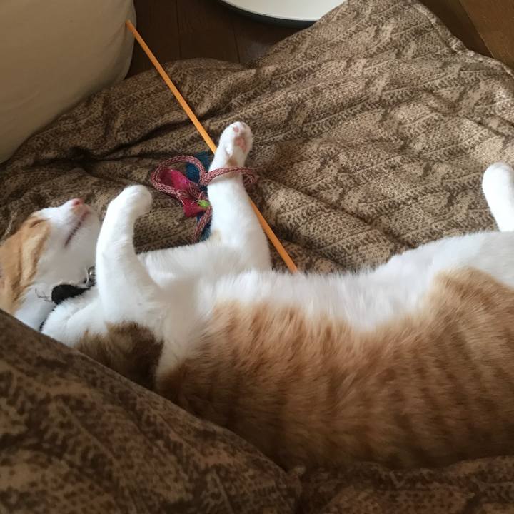 9cb730f5 476b 4e9f 9a10 d5b4de7e3475