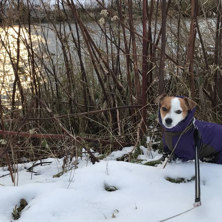 9cb732cb ec5f 4b26 b923 af6ca392ae3e