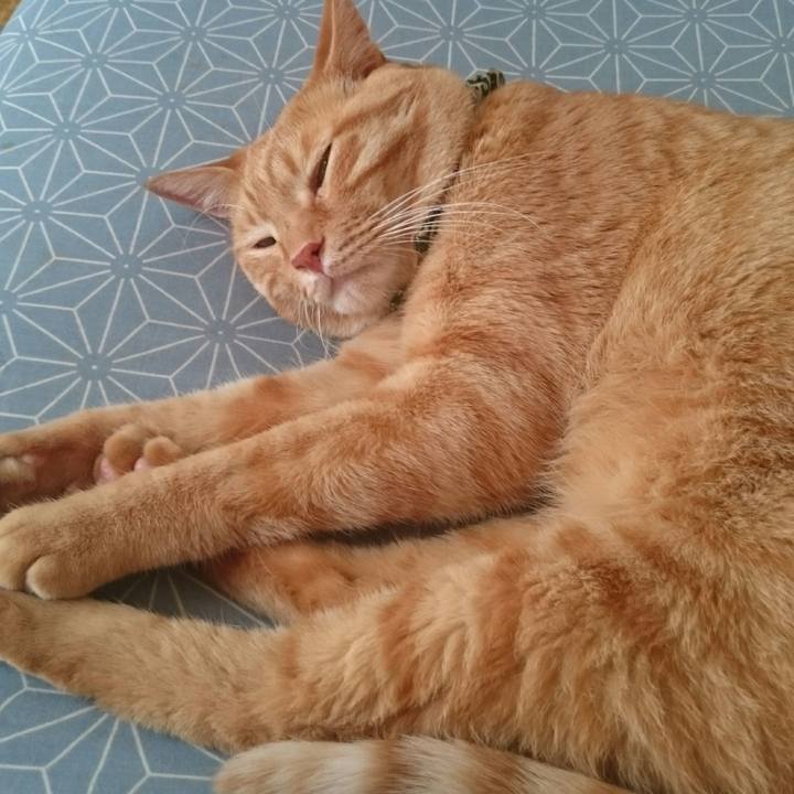 9cb7cd3b 6c75 4bab 9f86 5ccad96cc91b