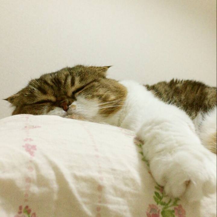 9cb7fc11 7de5 4bdd b2a0 9974ee8fbede