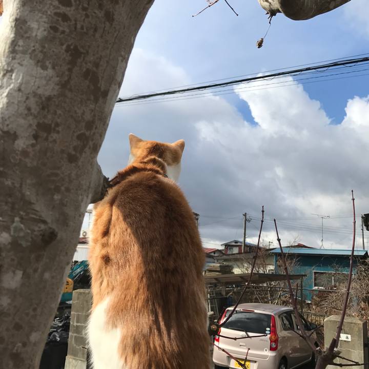 9cb80c37 58b9 4675 8be0 15ee83444604