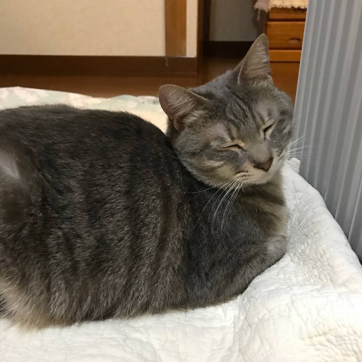 9cb81138 57d9 4eb8 be72 b922d8c3d597