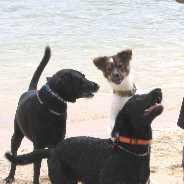 9cb821c4 4f19 429d b941 4527abcc8389