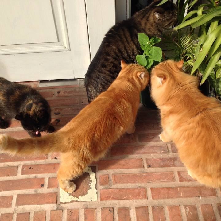 9cb84930 5c4b 400c a359 4e27d743480d