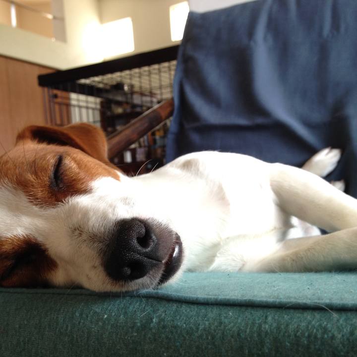 9cb86f8a ae07 4650 b97c 00a0098f0634