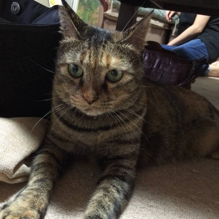 9cb8d81e 9def 45c3 a6b0 9ce763105c5b