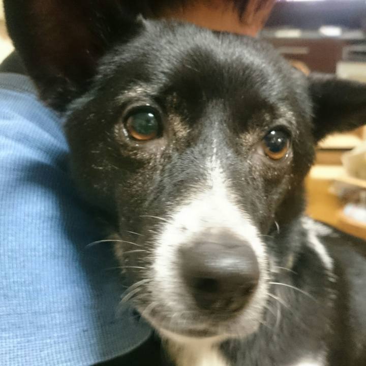 9cb92c1a 2440 4e45 ad98 3f59e0899763