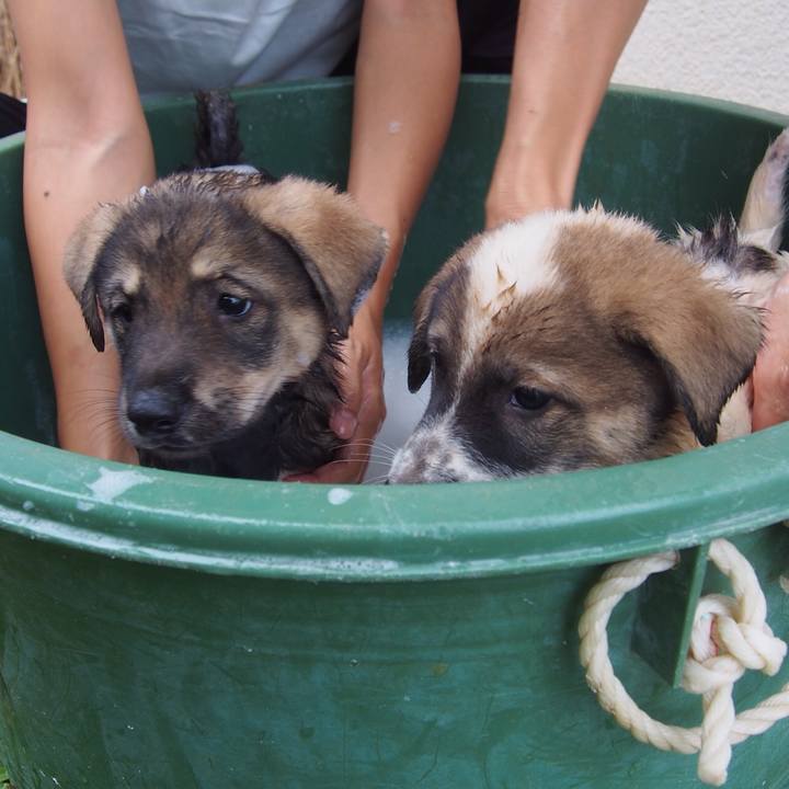 9cb95d0e f549 499a 8d0a 660997261978