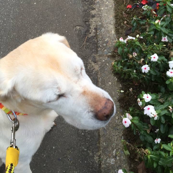 9cb95e29 1b87 4fac b225 a1e7c25cc074