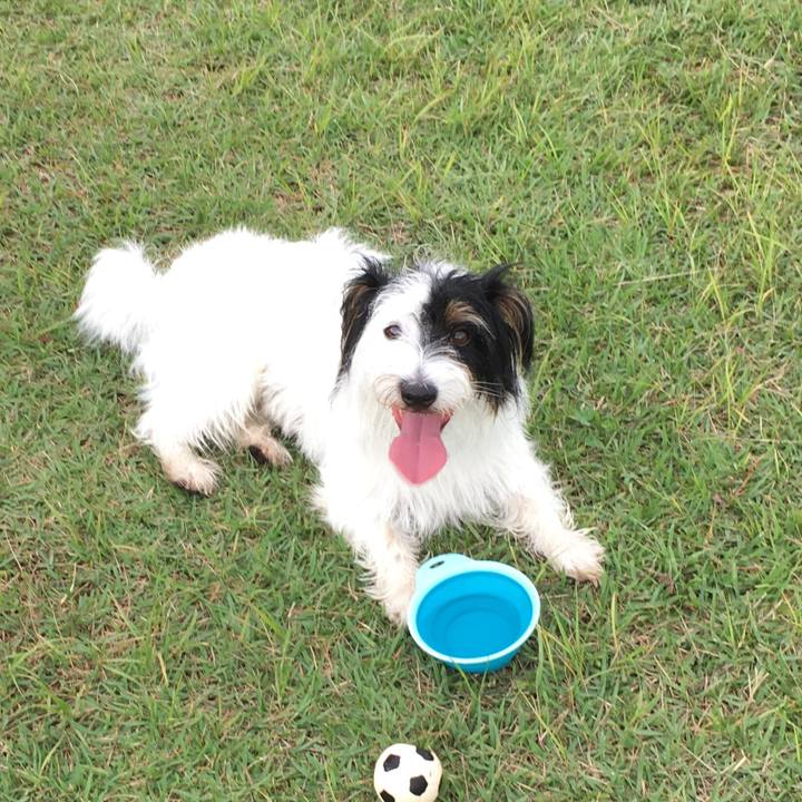 9cb97a71 7652 425d 9844 98f876af2502