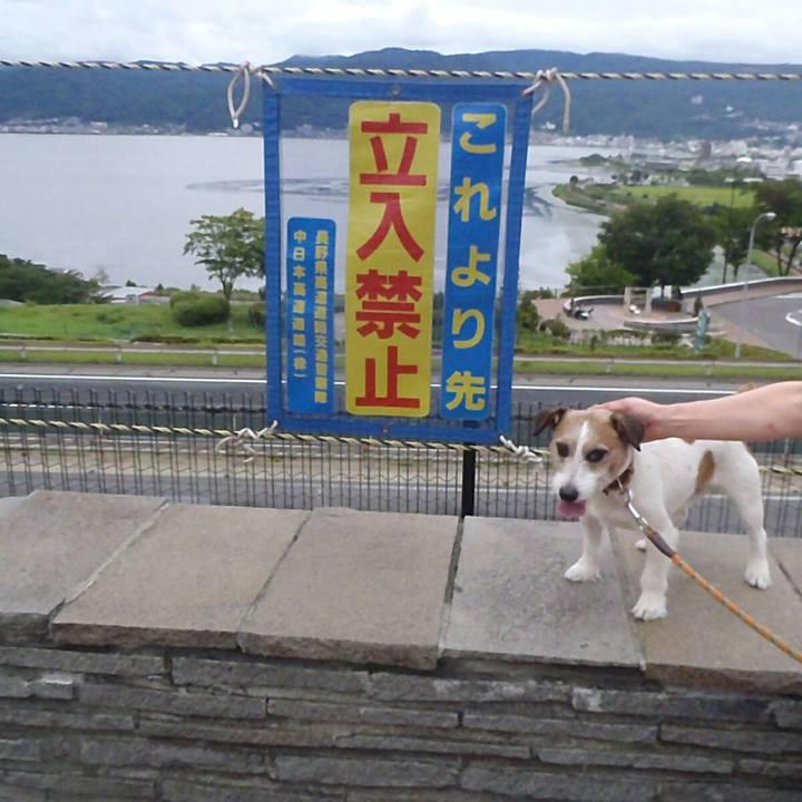 9cb9bf33 7679 43e7 8a85 720973de90a0