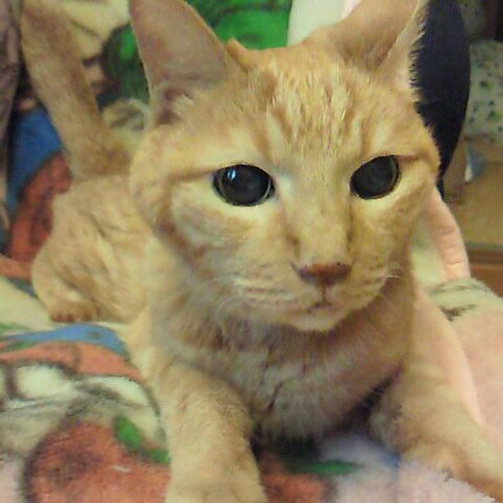 9cba68c9 3737 44cc 89f6 1e7c9ade2a14