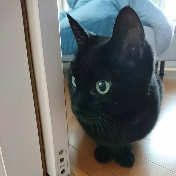 9cba7041 ca14 4f9c 9210 bfec8a6d4fd9