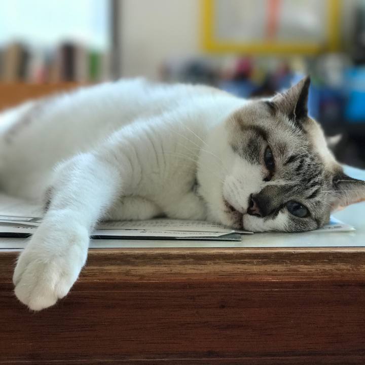 9cbab9db 3e20 43e6 b98b 6f8bc4944f82