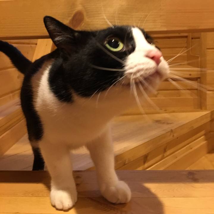 9cbb2754 c5a7 4967 9ce6 e15b4e33e926