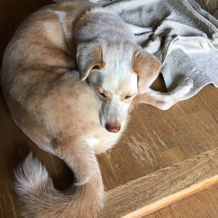 9cbc2e01 fe84 4d57 8de2 3551d82d46c2