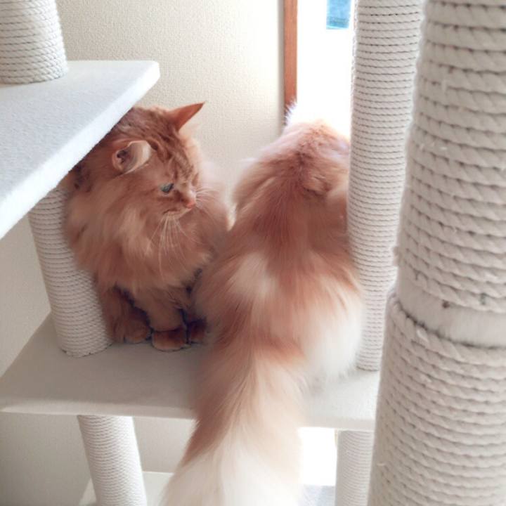 9cbc681a d230 4016 8c16 7903f5c1e68e