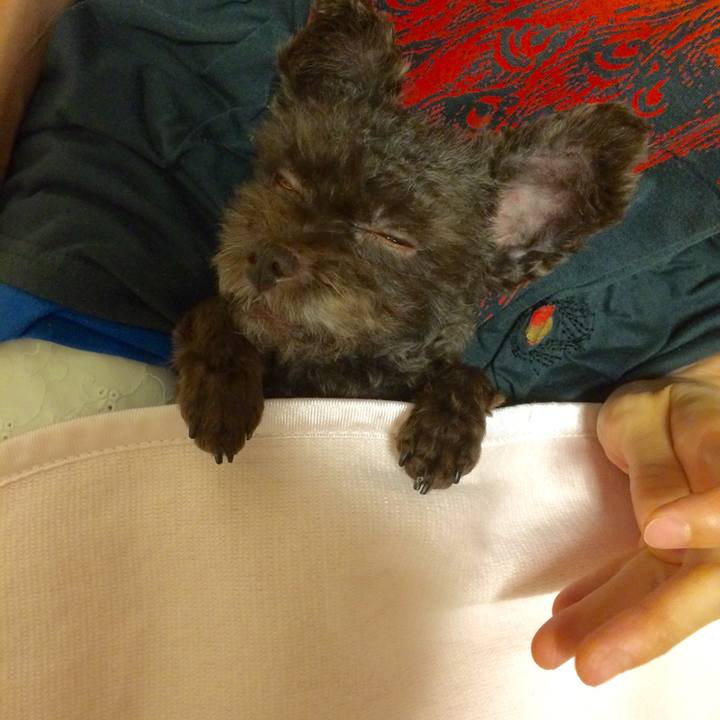 9cbcb17d 18c3 4c30 95f4 27884ebcb838