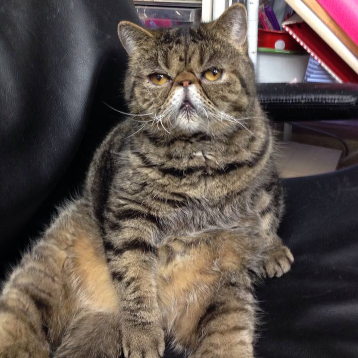 9cbce2a7 539a 4439 907a 2bf7a443e118