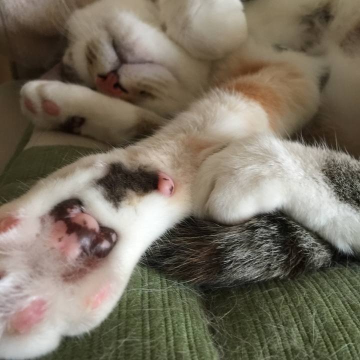 9cbd0eec 87f9 43e6 9c13 99ff55563c00