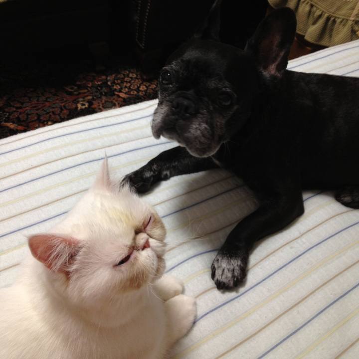 9cbd5c2f 536e 456f 9255 9f3b8358231c