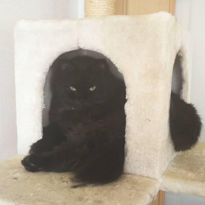 9cbd5e23 0669 4ff3 aede 9de742161a6f